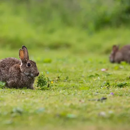 Yorkshire Dales 6 By Together Travel - 3-bed Family Retreat * Richmond (North Yorkshire)